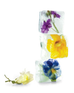 edible flower ice cubes